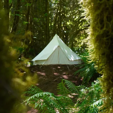 Hotel Wander Camp Olympic